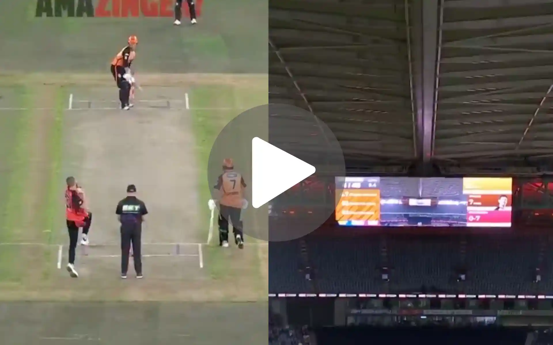 [Watch] Ball Hits Stadium Roof In BBL 2024-25; Fans Confused As Umpire Signals Dead Ball